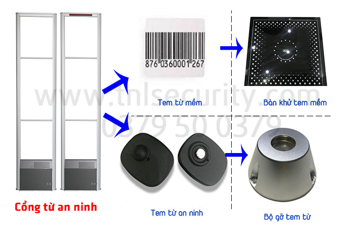 su-ginh-thanh-va-phat-trien-cua-he-thong-an-ninh-sieu-thi